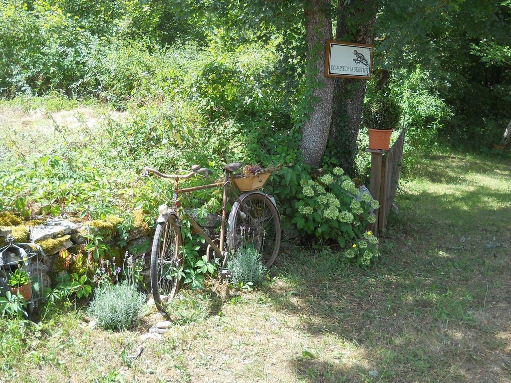 Paussac-et-Saint-Vivien Le Domaine De La Genette 빌라 외부 사진